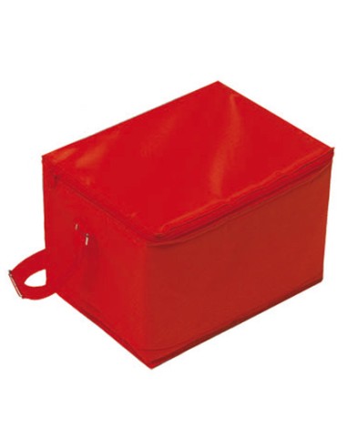 L-NY-08-03-Cooler Bag Freeze, Big